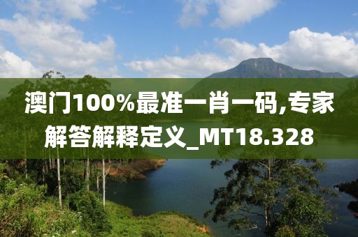 澳门100%最准一肖一码,专家解答解释定义_MT18.328