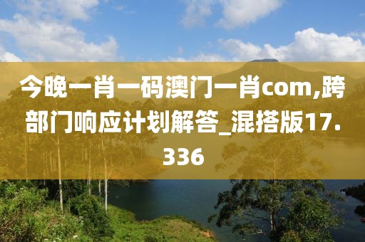 今晚一肖一码澳门一肖com,跨部门响应计划解答_混搭版17.336