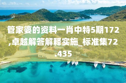管家婆的资料一肖中特5期172,卓越解答解释实施_标准集72.435
