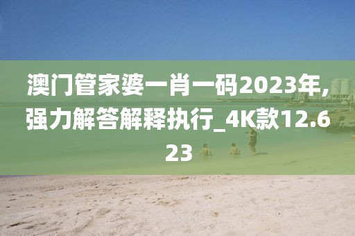 澳门管家婆一肖一码2023年,强力解答解释执行_4K款12.623