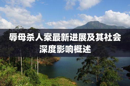 辱母杀人案最新进展及其社会深度影响概述