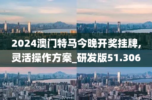2024澳门特马今晚开奖挂牌,灵活操作方案_研发版51.306