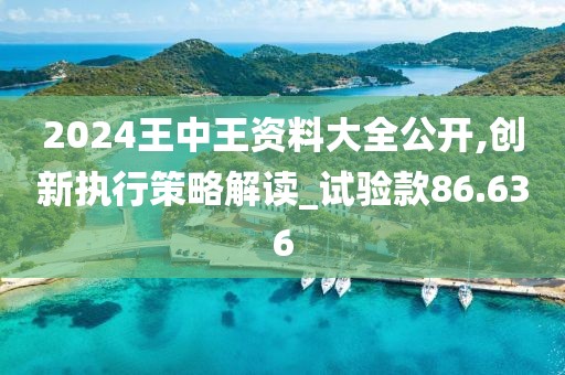 2024王中王资料大全公开,创新执行策略解读_试验款86.636