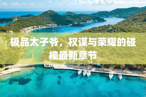 极品太子爷，权谋与荣耀的碰撞最新章节