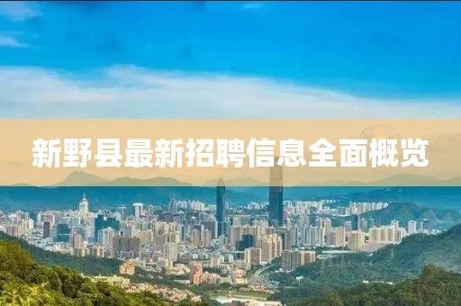 新野县最新招聘信息全面概览