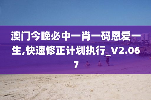 澳门今晚必中一肖一码恩爱一生,快速修正计划执行_V2.067