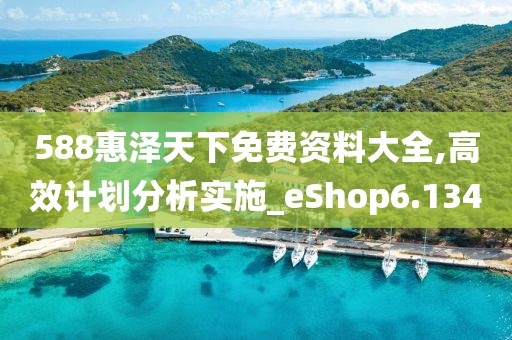 588惠泽天下免费资料大全,高效计划分析实施_eShop6.134