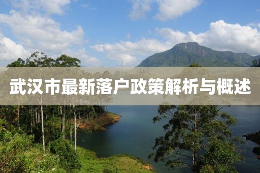 武汉市最新落户政策解析与概述