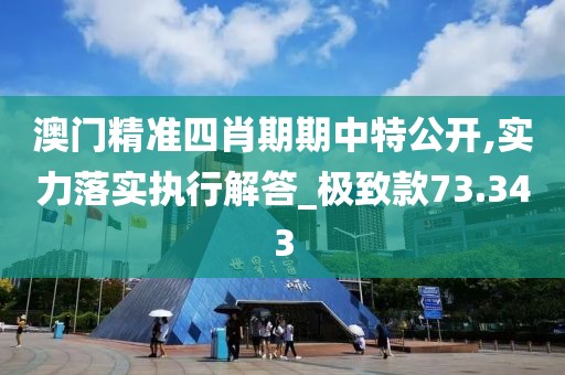 澳门精准四肖期期中特公开,实力落实执行解答_极致款73.343