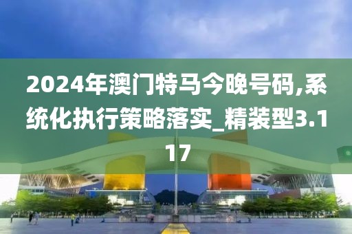 2024年澳门特马今晚号码,系统化执行策略落实_精装型3.117