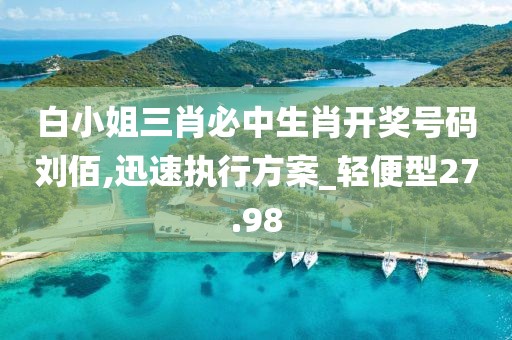 白小姐三肖必中生肖开奖号码刘佰,迅速执行方案_轻便型27.98