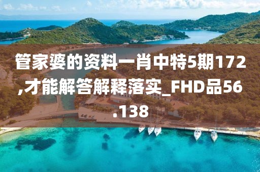 管家婆的资料一肖中特5期172,才能解答解释落实_FHD品56.138
