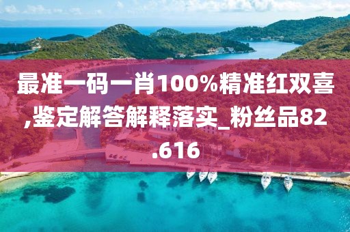 最准一码一肖100%精准红双喜,鉴定解答解释落实_粉丝品82.616