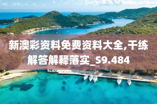 新澳彩资料免费资料大全,干练解答解释落实_S9.484