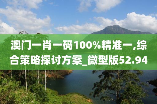 澳门一肖一码100%精准一,综合策略探讨方案_微型版52.94