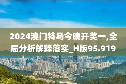 2024澳门特马今晚开奖一,全局分析解释落实_H版95.919