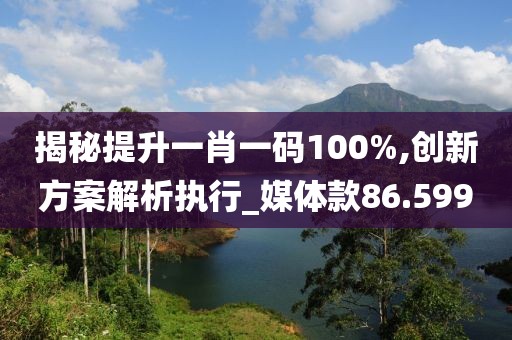 揭秘提升一肖一码100%,创新方案解析执行_媒体款86.599