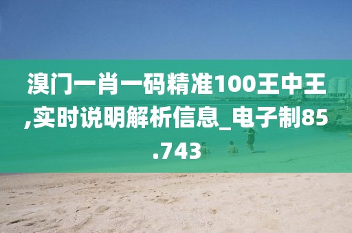 溴门一肖一码精准100王中王,实时说明解析信息_电子制85.743