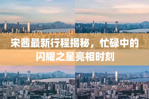 宋茜最新行程揭秘，忙碌中的闪耀之星亮相时刻