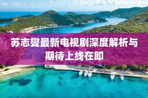 苏志燮最新电视剧深度解析与期待上线在即