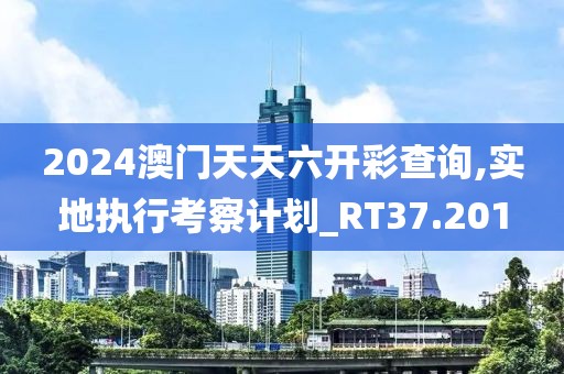 2024澳门天天六开彩查询,实地执行考察计划_RT37.201