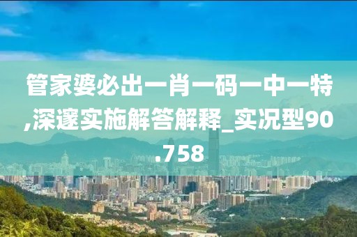 管家婆必出一肖一码一中一特,深邃实施解答解释_实况型90.758
