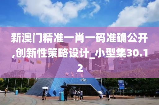 新澳门精准一肖一码准确公开,创新性策略设计_小型集30.12
