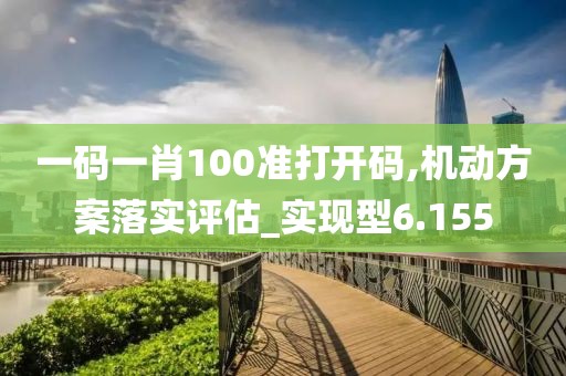 一码一肖100准打开码,机动方案落实评估_实现型6.155