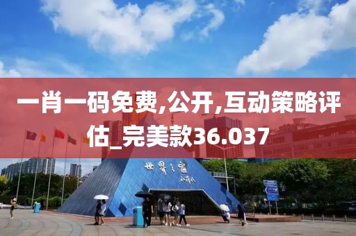 一肖一码免费,公开,互动策略评估_完美款36.037