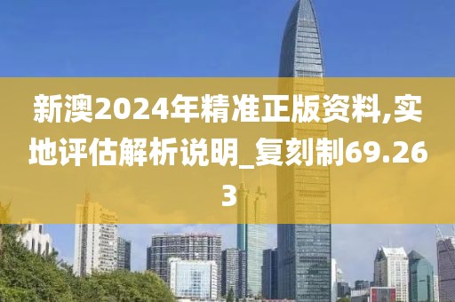 新澳2024年精准正版资料,实地评估解析说明_复刻制69.263
