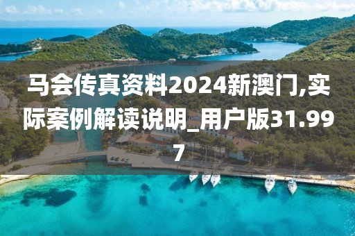 马会传真资料2024新澳门,实际案例解读说明_用户版31.997