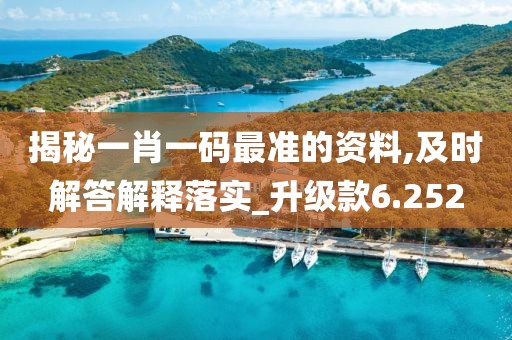 揭秘一肖一码最准的资料,及时解答解释落实_升级款6.252