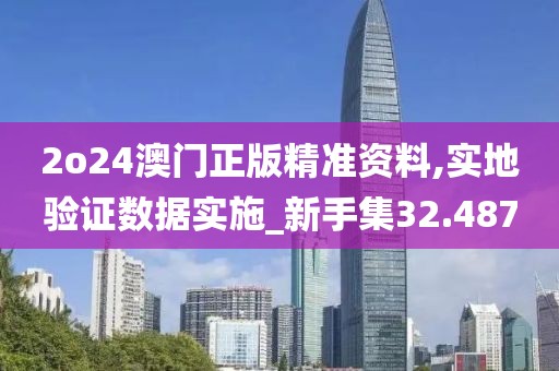 2o24澳门正版精准资料,实地验证数据实施_新手集32.487