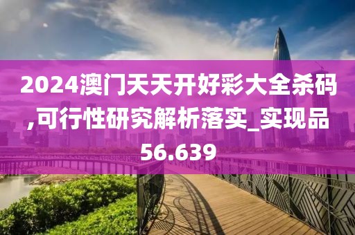 2024澳门天天开好彩大全杀码,可行性研究解析落实_实现品56.639