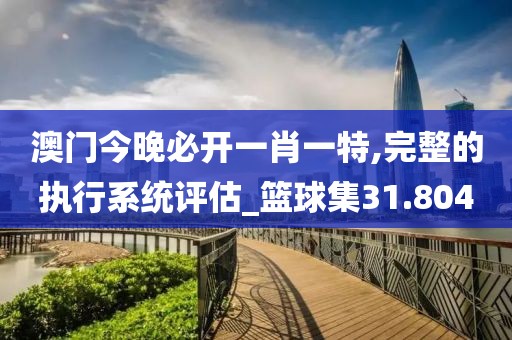 澳门今晚必开一肖一特,完整的执行系统评估_篮球集31.804