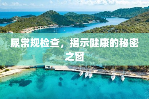 尿常规检查，揭示健康的秘密之窗