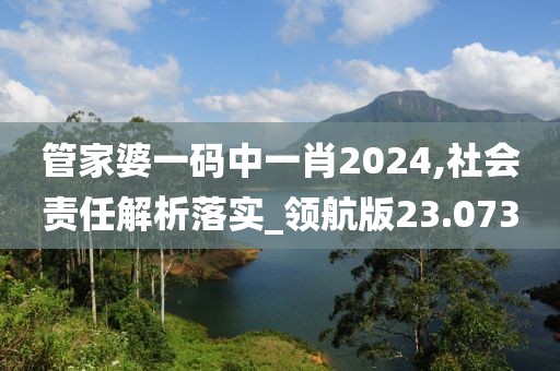 管家婆一码中一肖2024,社会责任解析落实_领航版23.073