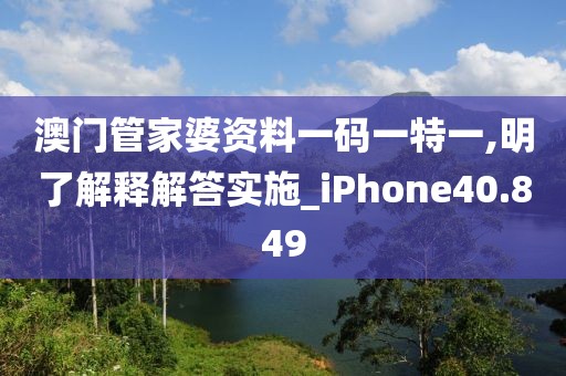 澳门管家婆资料一码一特一,明了解释解答实施_iPhone40.849