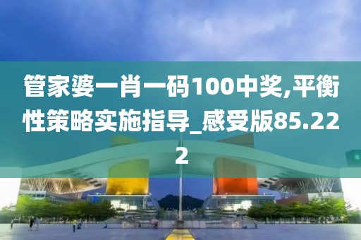 管家婆一肖一码100中奖,平衡性策略实施指导_感受版85.222