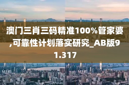 澳门三肖三码精准100%管家婆,可靠性计划落实研究_AB版91.317