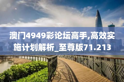 澳门4949彩论坛高手,高效实施计划解析_至尊版71.213