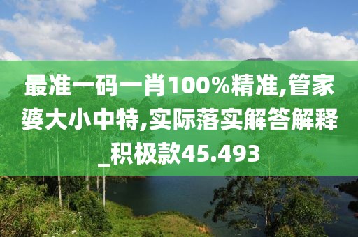 最准一码一肖100%精准,管家婆大小中特,实际落实解答解释_积极款45.493