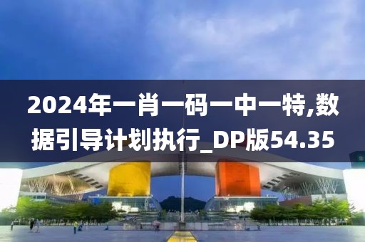 2024年一肖一码一中一特,数据引导计划执行_DP版54.35