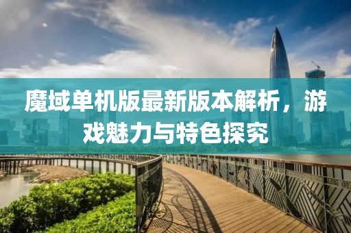 魔域单机版最新版本解析，游戏魅力与特色探究