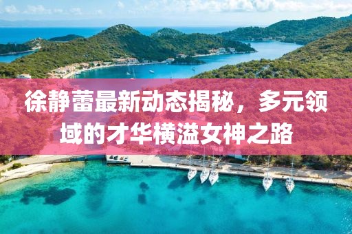 徐静蕾最新动态揭秘，多元领域的才华横溢女神之路