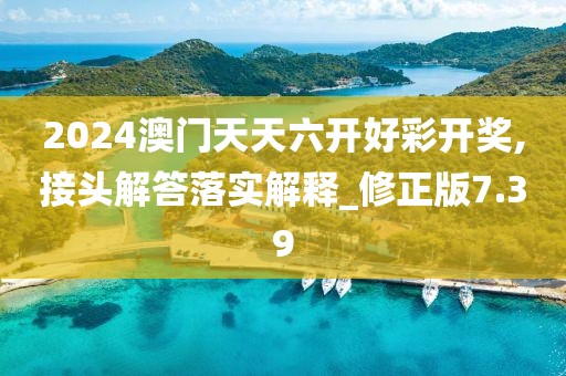 2024澳门天天六开好彩开奖,接头解答落实解释_修正版7.39
