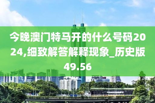 今晚澳门特马开的什么号码2024,细致解答解释现象_历史版49.56