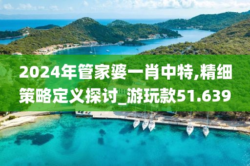 2024年管家婆一肖中特,精细策略定义探讨_游玩款51.639