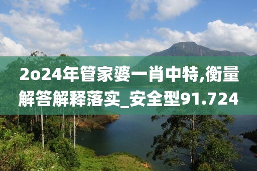 2o24年管家婆一肖中特,衡量解答解释落实_安全型91.724