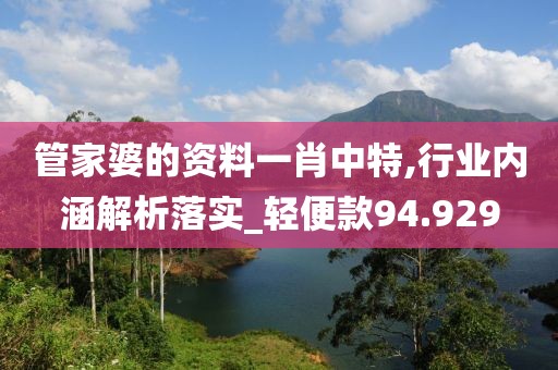 管家婆的资料一肖中特,行业内涵解析落实_轻便款94.929